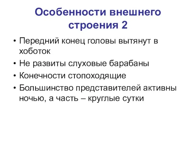 Особенности внешнего строения 2 Передний конец головы вытянут в хоботок Не развиты слуховые