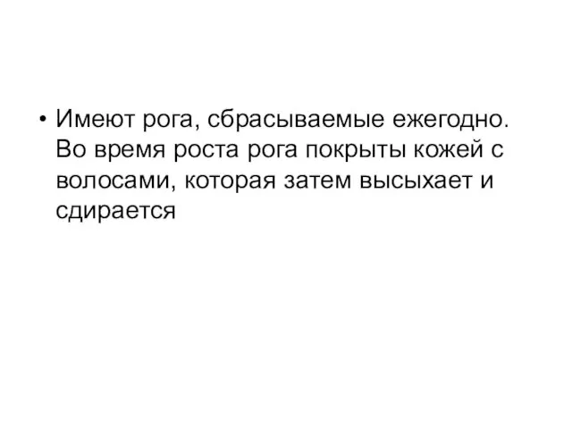 Имеют рога, сбрасываемые ежегодно. Во время роста рога покрыты кожей