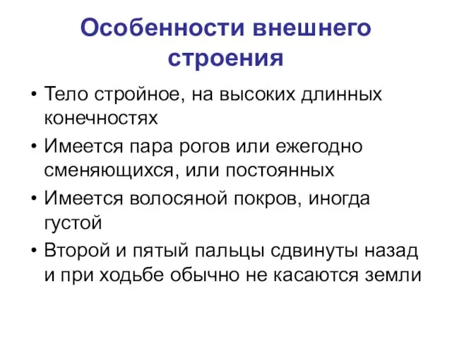 Особенности внешнего строения Тело стройное, на высоких длинных конечностях Имеется пара рогов или