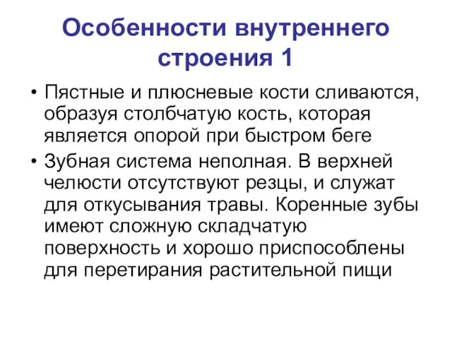 Особенности внутреннего строения 1 Пястные и плюсневые кости сливаются, образуя