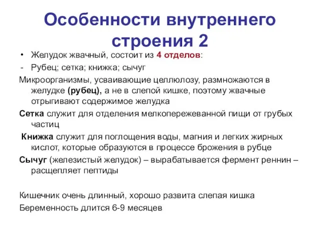 Особенности внутреннего строения 2 Желудок жвачный, состоит из 4 отделов: Рубец; сетка; книжка;