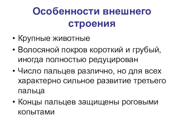 Особенности внешнего строения Крупные животные Волосяной покров короткий и грубый,