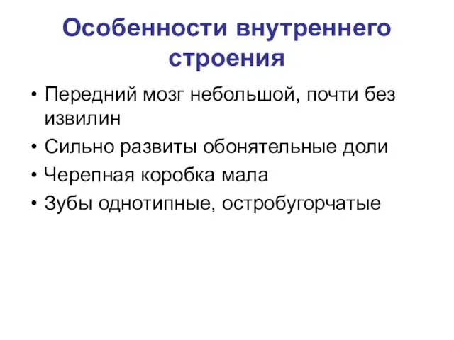 Особенности внутреннего строения Передний мозг небольшой, почти без извилин Сильно развиты обонятельные доли