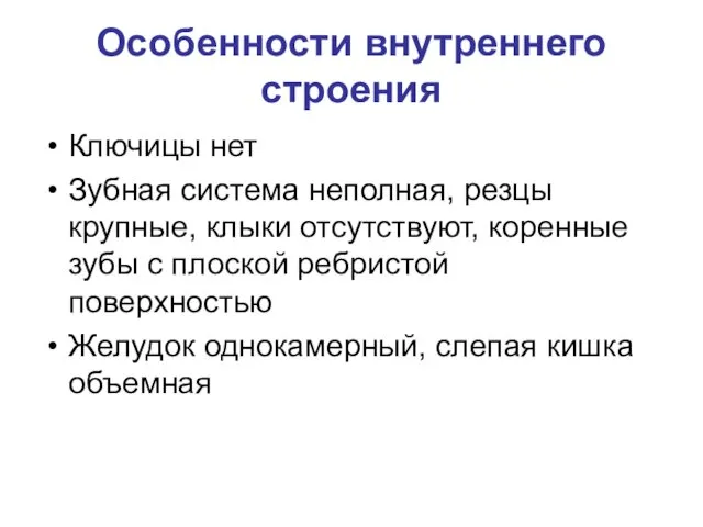 Особенности внутреннего строения Ключицы нет Зубная система неполная, резцы крупные, клыки отсутствуют, коренные