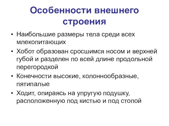 Особенности внешнего строения Наибольшие размеры тела среди всех млекопитающих Хобот образован сросшимся носом