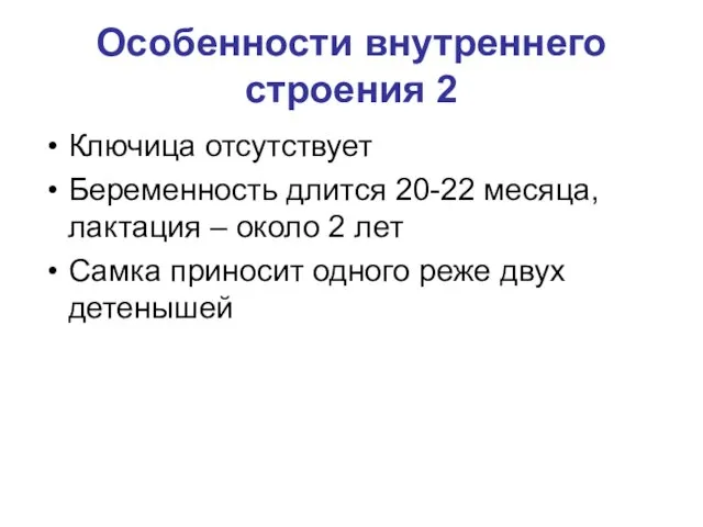 Особенности внутреннего строения 2 Ключица отсутствует Беременность длится 20-22 месяца,