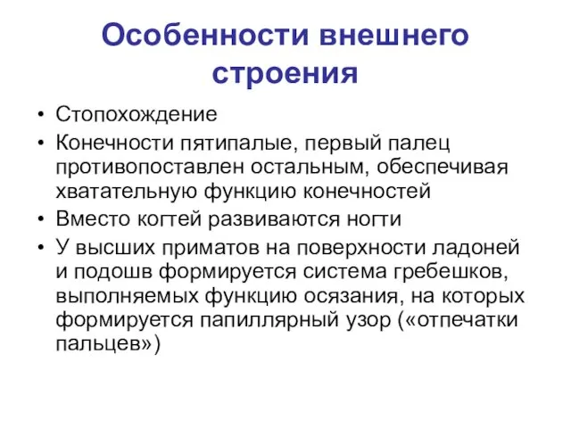 Особенности внешнего строения Стопохождение Конечности пятипалые, первый палец противопоставлен остальным, обеспечивая хватательную функцию