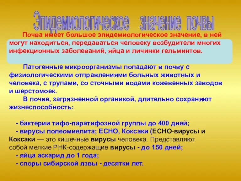 Эпидемиологическое значение почвы Почва имеет большое эпидемиологическое значение, в ней