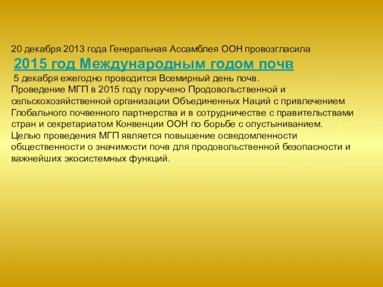 20 декабря 2013 года Генеральная Ассамблея ООН провозгласила 2015 год