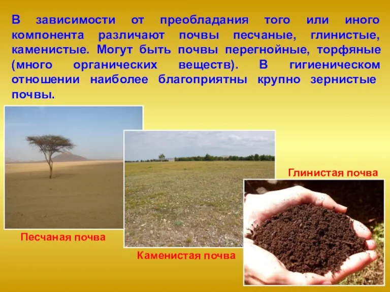 В зависимости от преобладания того или иного компонента различают почвы