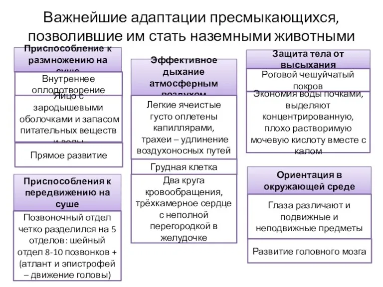 Важнейшие адаптации пресмыкающихся, позволившие им стать наземными животными Приспособление к