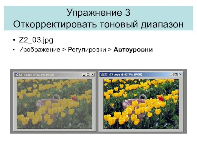 Упражнение 3 Откорректировать тоновый диапазон Z2_03.jpg Изображение > Регулировки > Автоуровни