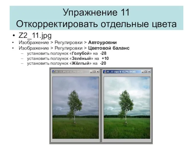 Упражнение 11 Откорректировать отдельные цвета Z2_11.jpg Изображение > Регулировки >