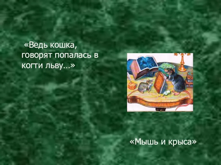 «Ведь кошка, говорят попалась в когти льву…» «Мышь и крыса»