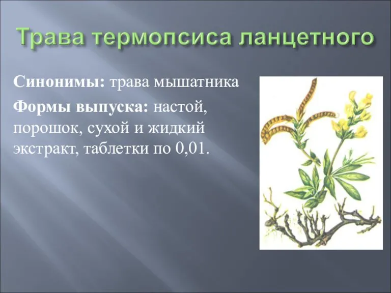 Синонимы: трава мышатника Формы выпуска: настой, порошок, сухой и жидкий экстракт, таблетки по 0,01.