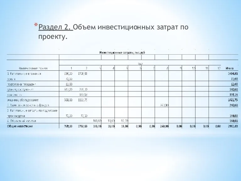 Раздел 2. Объем инвестиционных затрат по проекту.