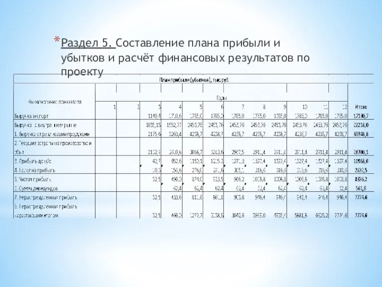 Раздел 5. Составление плана прибыли и убытков и расчёт финансовых результатов по проекту