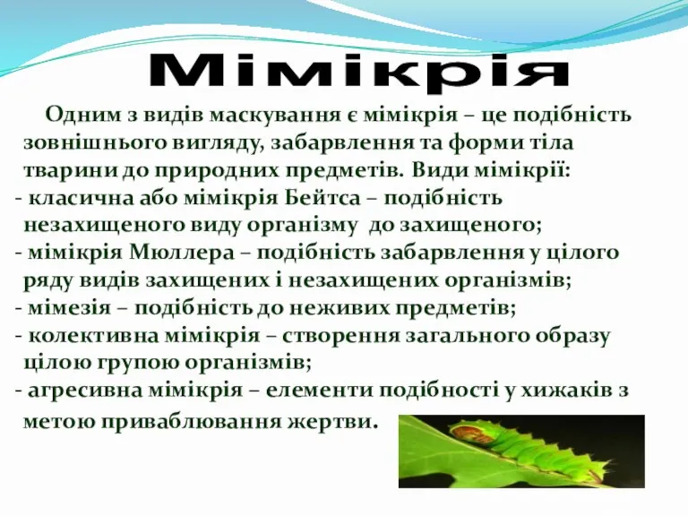 Одним з видів маскування є мімікрія – це подібність зовнішнього