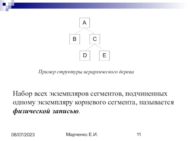 Марченко Е.И. 08/07/2023 Пример структуры иерархического дерева Набор всех экземпляров сегментов, подчиненных одному