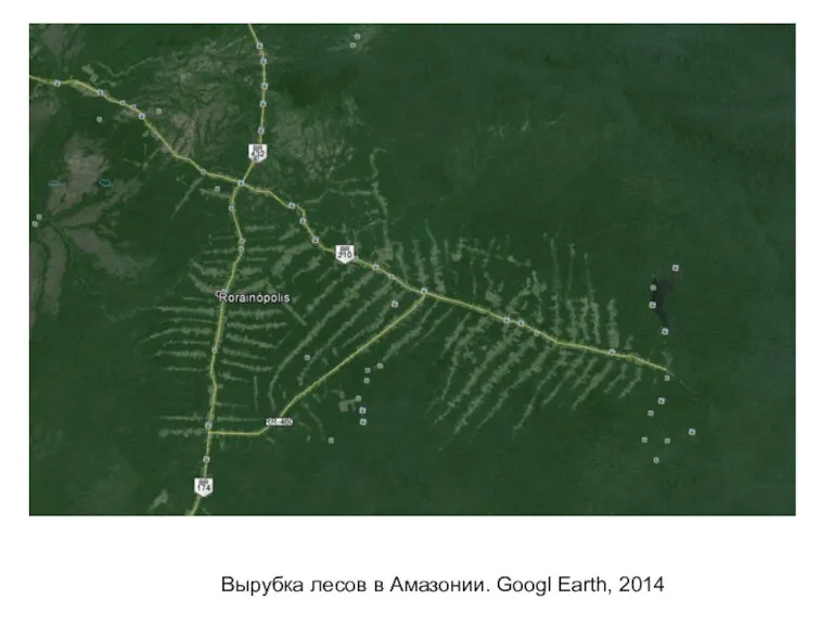 Вырубка лесов в Амазонии. Googl Earth, 2014
