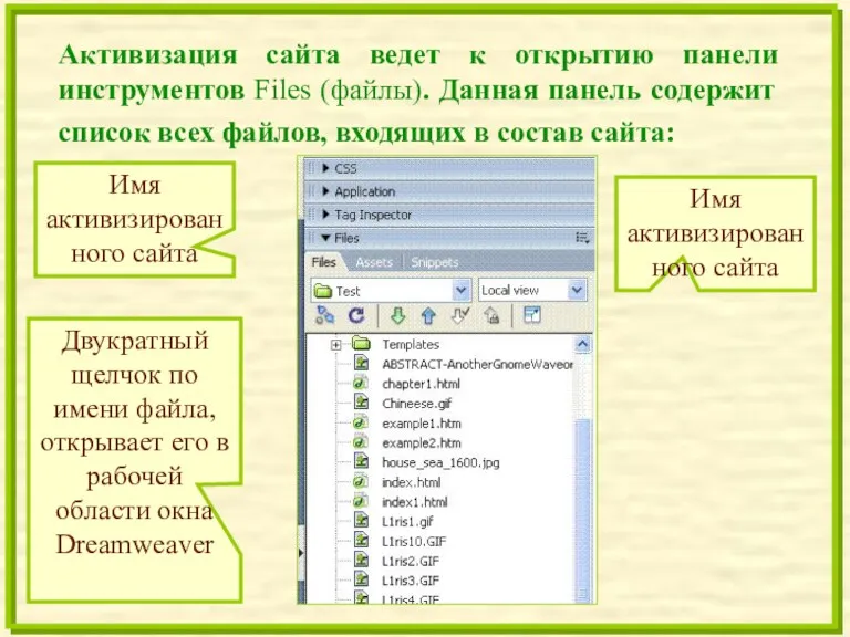 Активизация сайта ведет к открытию панели инструментов Files (файлы). Данная