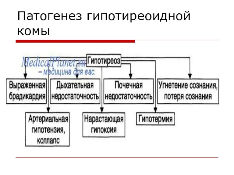 Патогенез гипотиреоидной комы