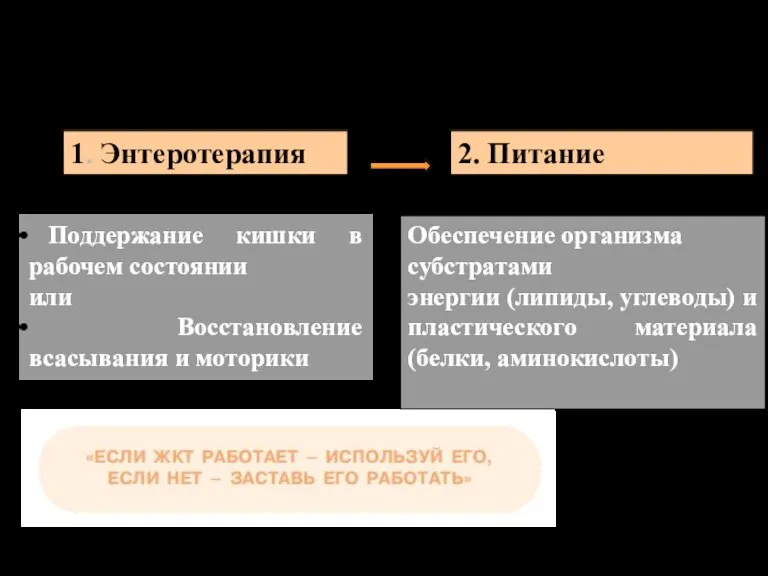 Энтеральное питание – неотъемлемая часть терапии Поддержание кишки в рабочем