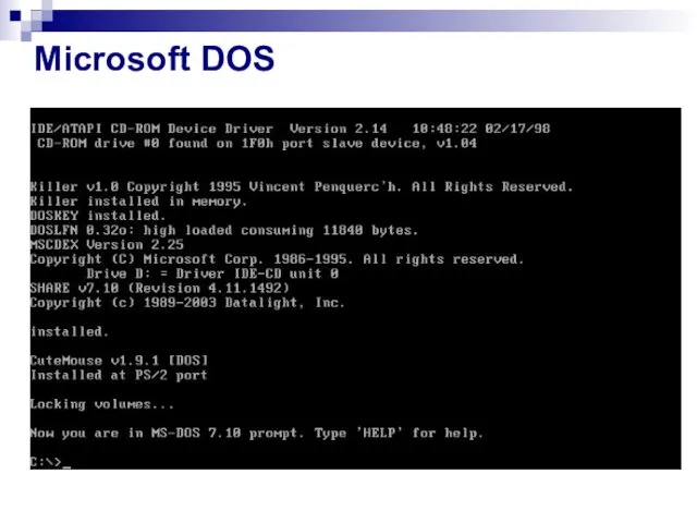 Microsoft DOS