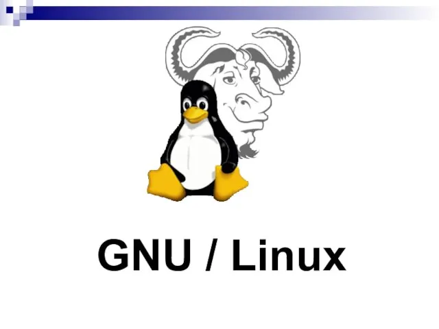 GNU / Linux