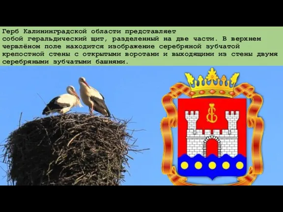 Герб Калининградской области представляет собой геральдический щит, разделенный на две