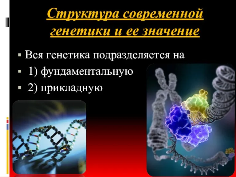 Структура современной генетики и ее значение Вся генетика подразделяется на 1) фундаментальную 2) прикладную