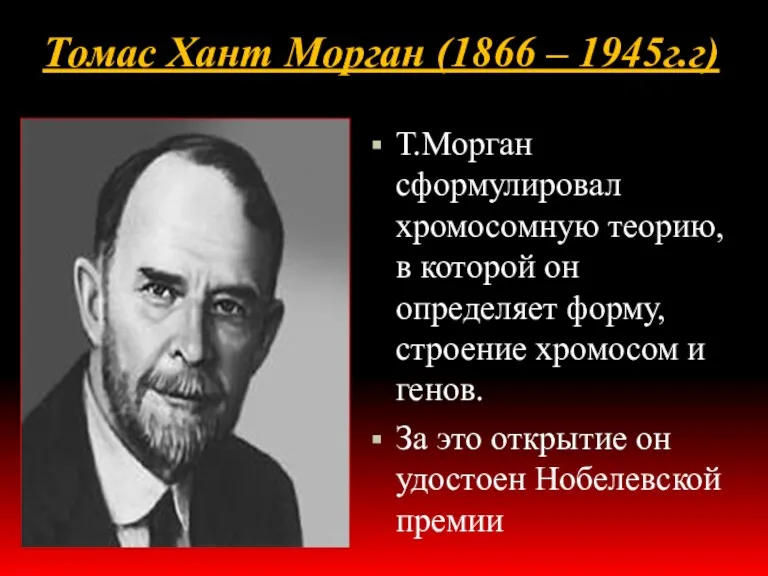Томас Хант Морган (1866 – 1945г.г) Т.Морган сформулировал хромосомную теорию,