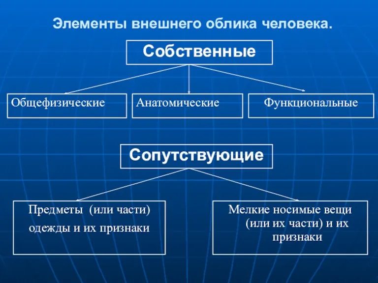 Элементы внешнего облика человека. Собственные Сопутствующие Общефизические Анатомические Функциональные Предметы