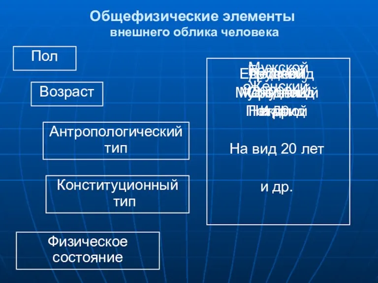 Общефизические элементы внешнего облика человека Пол Возраст Антропологический тип Конституционный