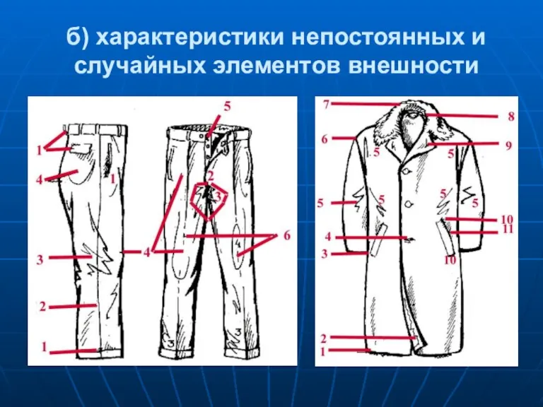 б) характеристики непостоянных и случайных элементов внешности