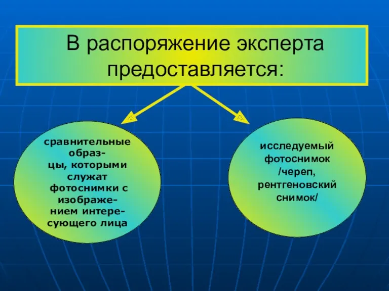 В распоряжение эксперта предоставляется: исследуемый фотоснимок /череп, рентгеновский снимок/ сравнительные