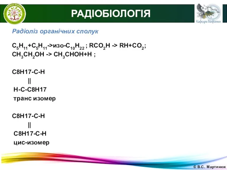 © В.С. Мартинюк РАДІОБІОЛОГІЯ Радіоліз органічних сполук C5H11+C5H11->изо-С10Н22 ; RCO2H -> RH+CO2; СH3CH2OH