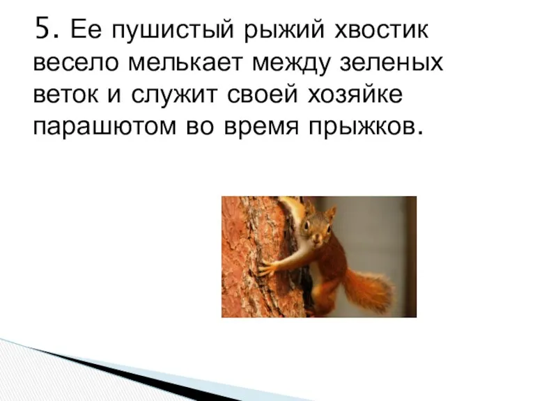 5. Ее пушистый рыжий хвостик весело мелькает между зеленых веток и служит своей