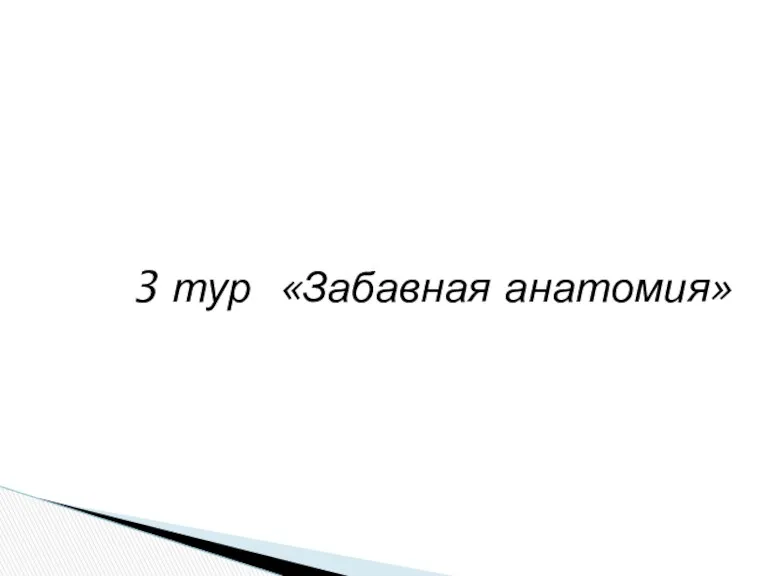 3 тур «Забавная анатомия»