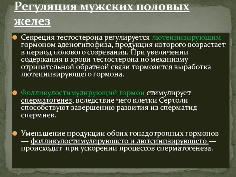 Секреция тестостерона регулируется лютеинизирующим гормоном аденогипофиза, продукция которого возрастает в