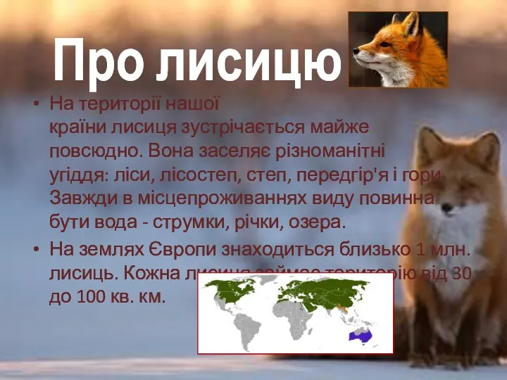 На території нашої країни лисиця зустрічається майже повсюдно. Вона заселяє