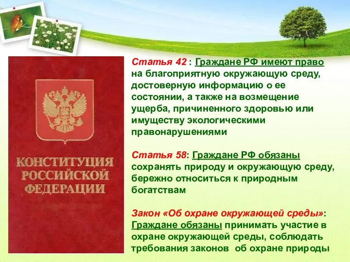 Статья 42 : Граждане РФ имеют право на благоприятную окружающую