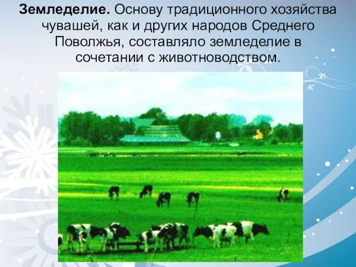 Земледелие. Основу традиционного хозяйства чувашей, как и других народов Среднего