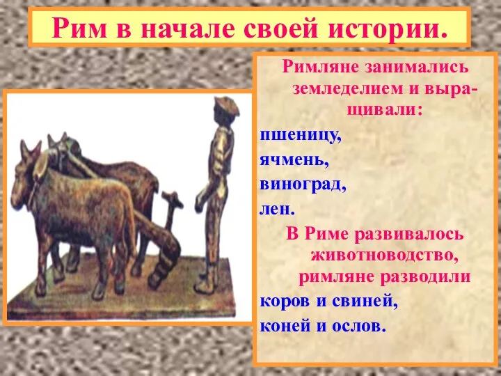 Рим в начале своей истории. Римляне занимались земледелием и выра-щивали: