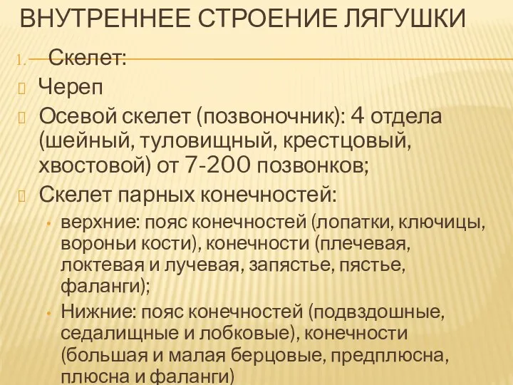 ВНУТРЕННЕЕ СТРОЕНИЕ ЛЯГУШКИ Скелет: Череп Осевой скелет (позвоночник): 4 отдела