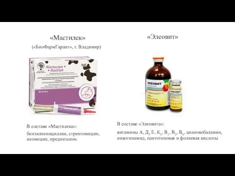 В составе «Мастилека»: бензилпенициллин, стрептомицин, неомицин, преднизолон. В составе «Элеовита»: витамины А, Д3