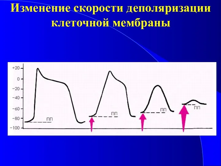 Изменение скорости деполяризации клеточной мембраны