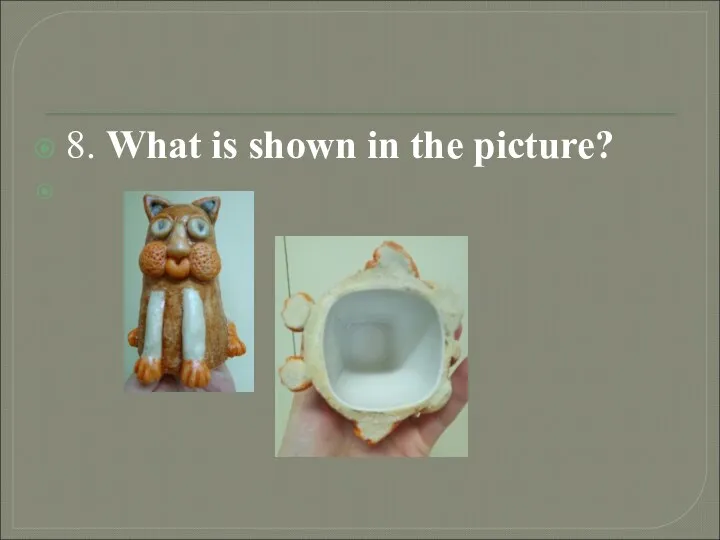 8. What is shown in the picture?