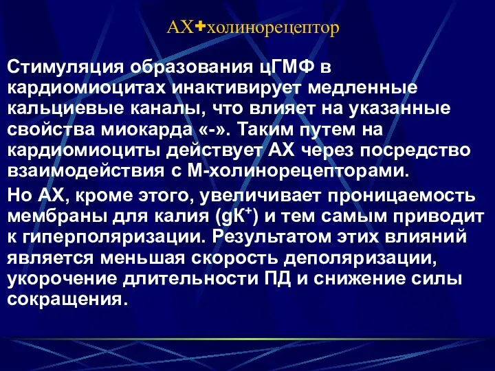 АХ+холинорецептор Стимуляция образования цГМФ в кардиомиоцитах инактивирует медленные кальциевые каналы,