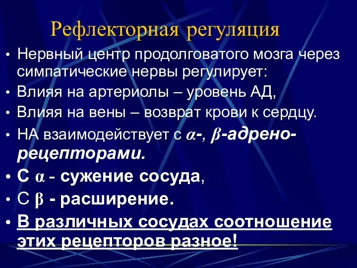 Рефлекторная регуляция Нервный центр продолговатого мозга через симпатические нервы регулирует: